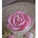 Wild rose